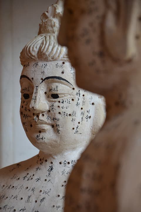 Massage & Acupuncture Therapy Chicago photo