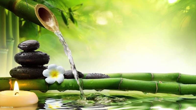 Massage Aurora Spa and Cosmetics Shampoo Quận Sơn Trà photo
