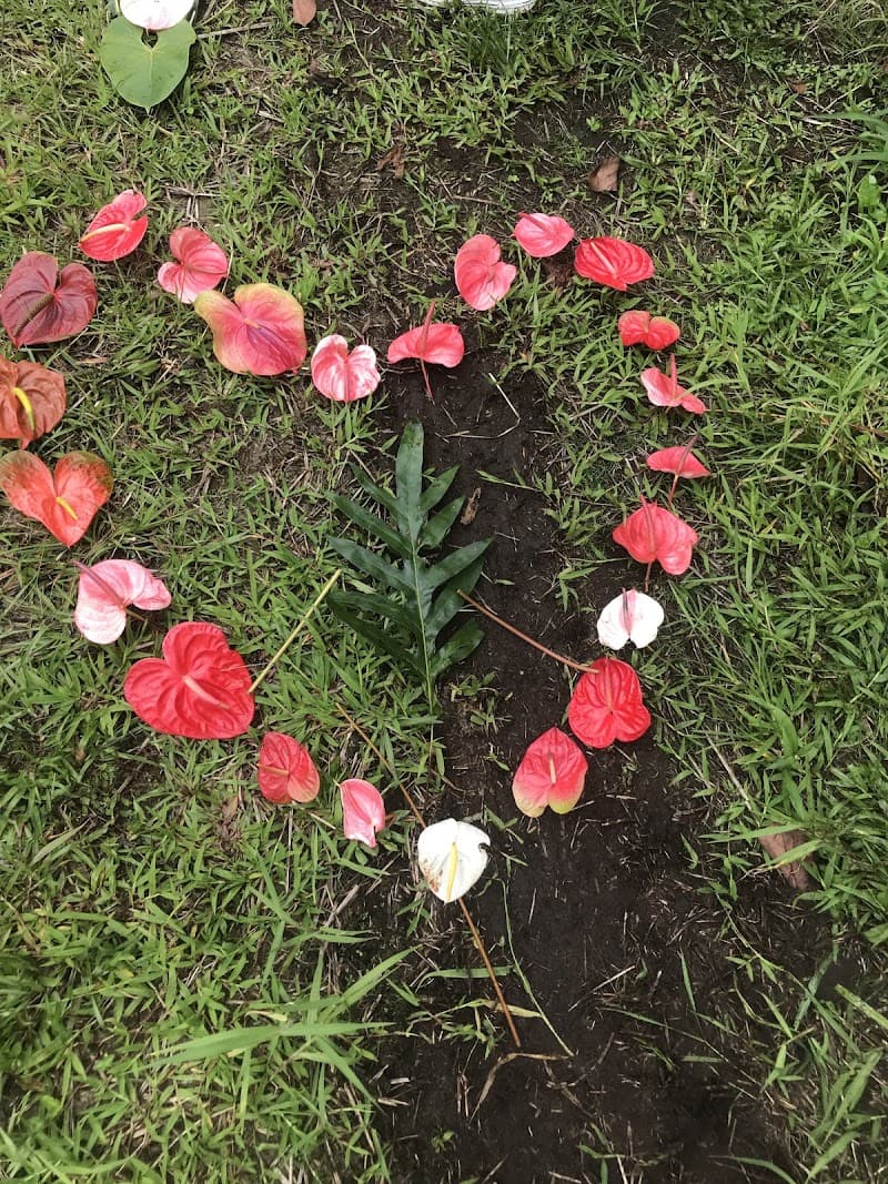 Massage & Banya Spa of Santa Fe photo