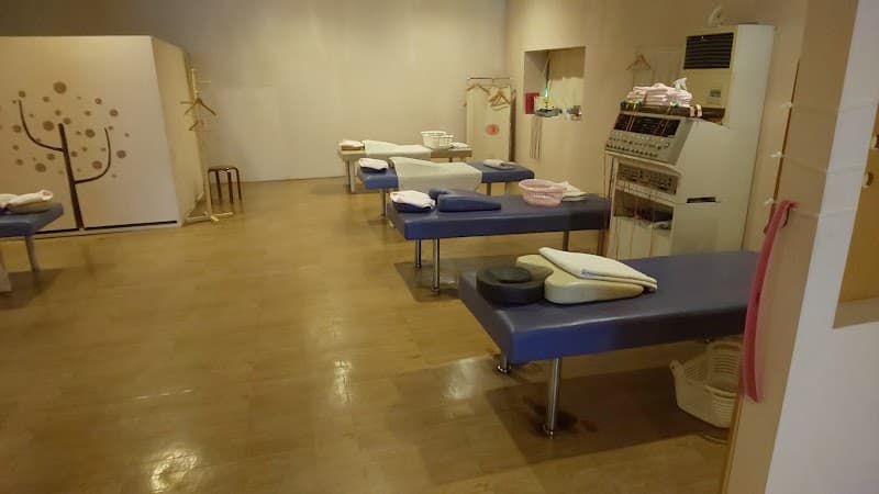 Massage & Body Care Plum Tree Minato Ward, Nagoya City photo