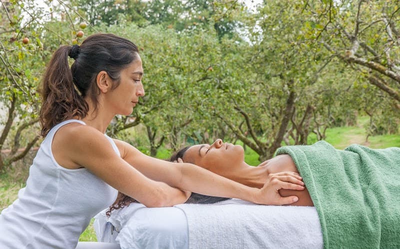 Massage Brighton Wellbeing Ltd photo