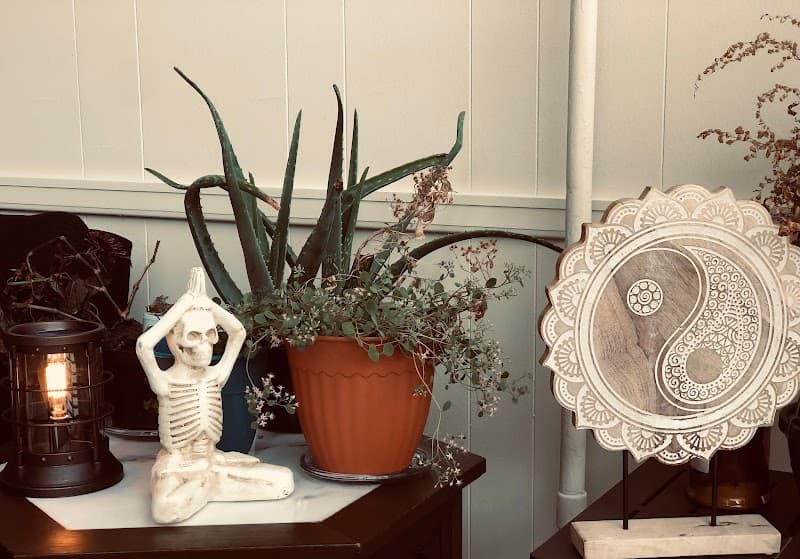 Massage by Kaila Columbia photo