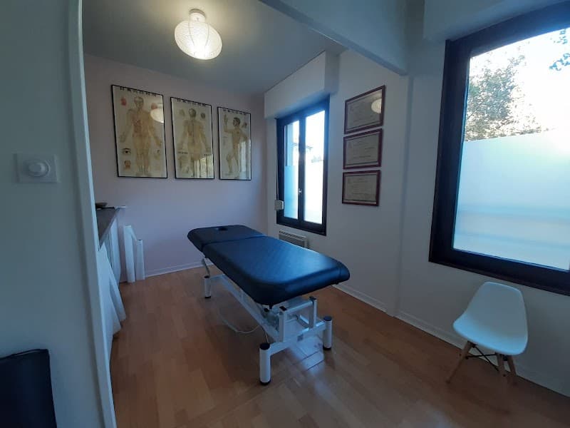 Massage Chinois Tuina ANMO Le Gua photo