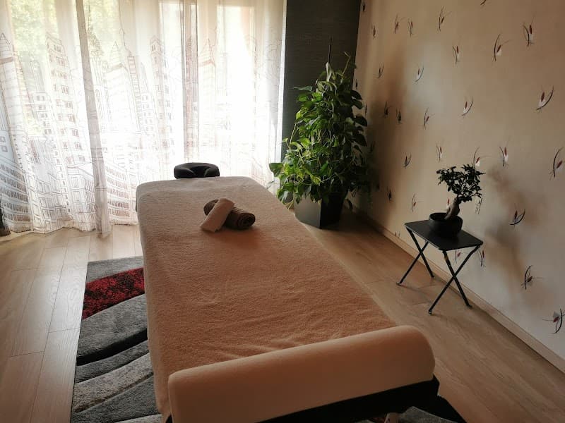 Massage des 4 Vents Poulangy photo