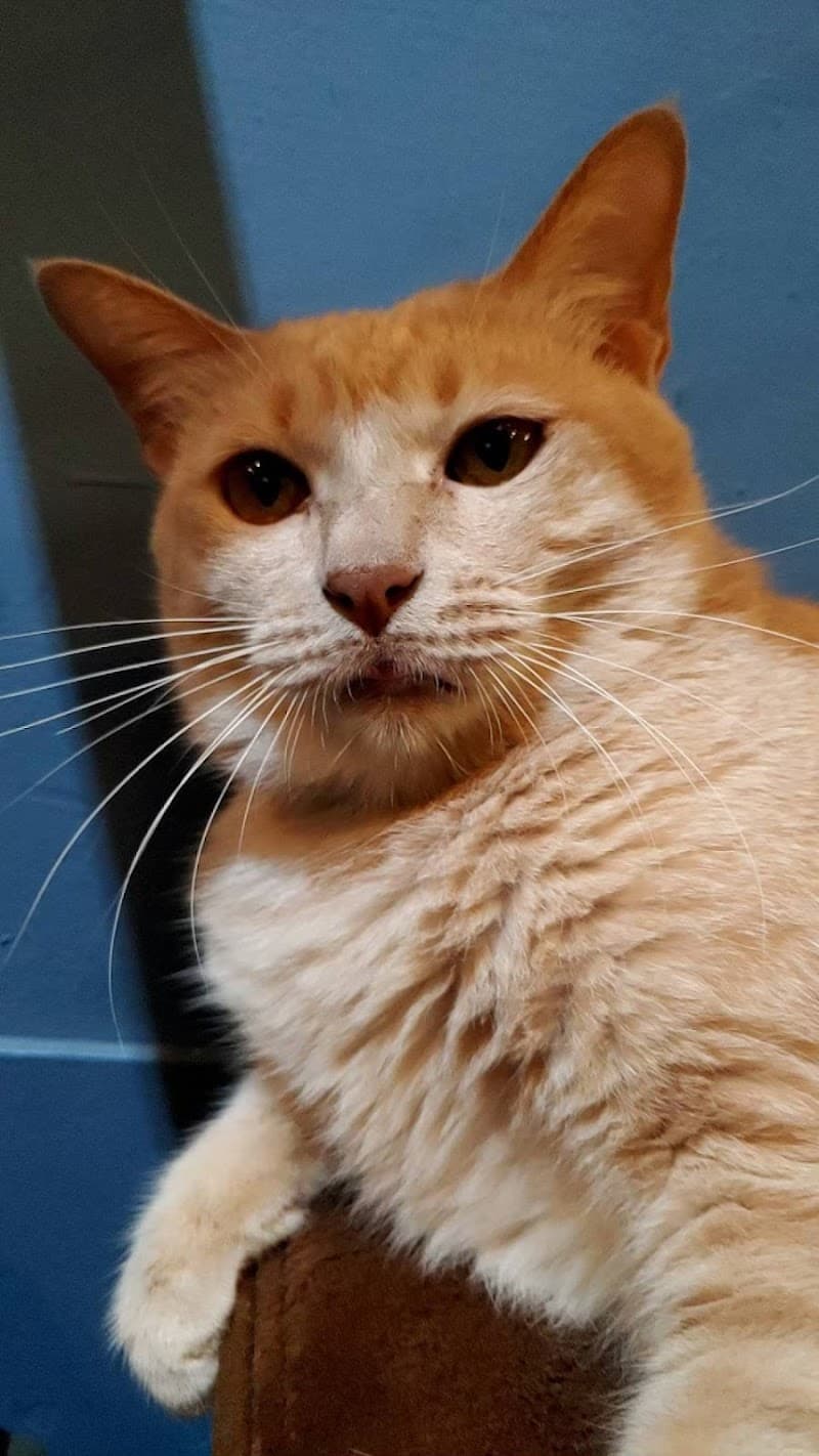 Massage Expert - Zhihong Park Yihua Store Kaohsiung City photo