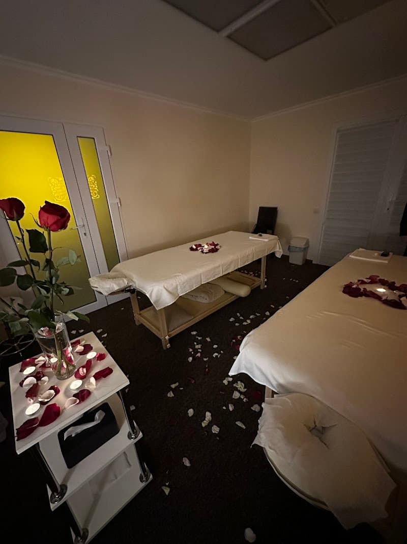 Massage in 4 Hands Khmelnytskyi Raion photo
