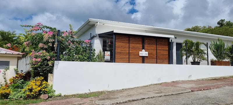 Massage Indien Ayurvedique Sainte-Anne photo