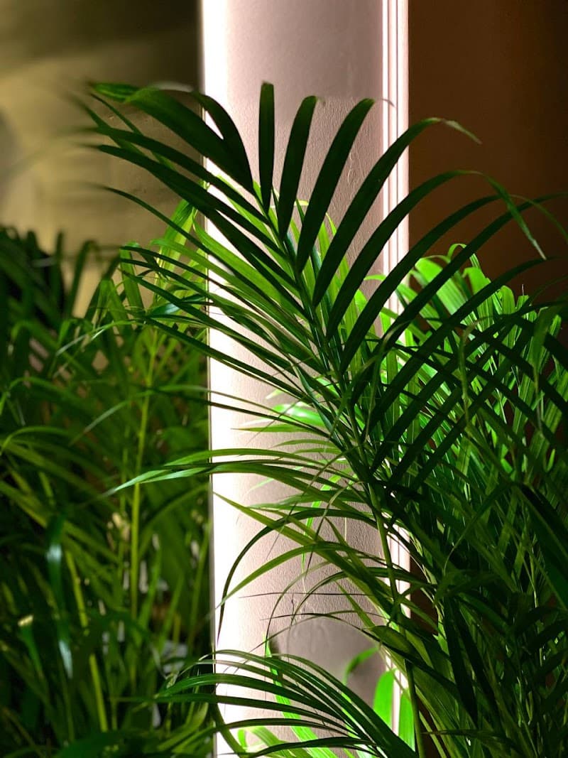 Massage studio Habitat Saint Petersburg photo