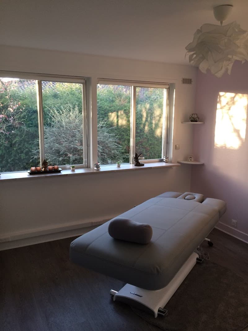 Massage Sylvie Decroix Olivet photo