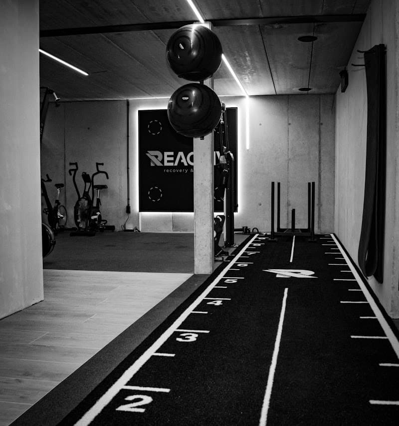 Massage therapie Dominique Hechtel-Eksel photo