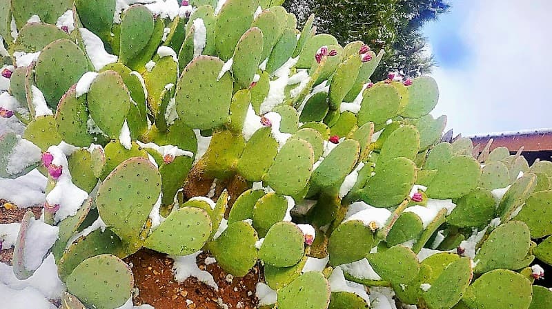 Massage Therapy By Chelsea Shanks Monahans photo