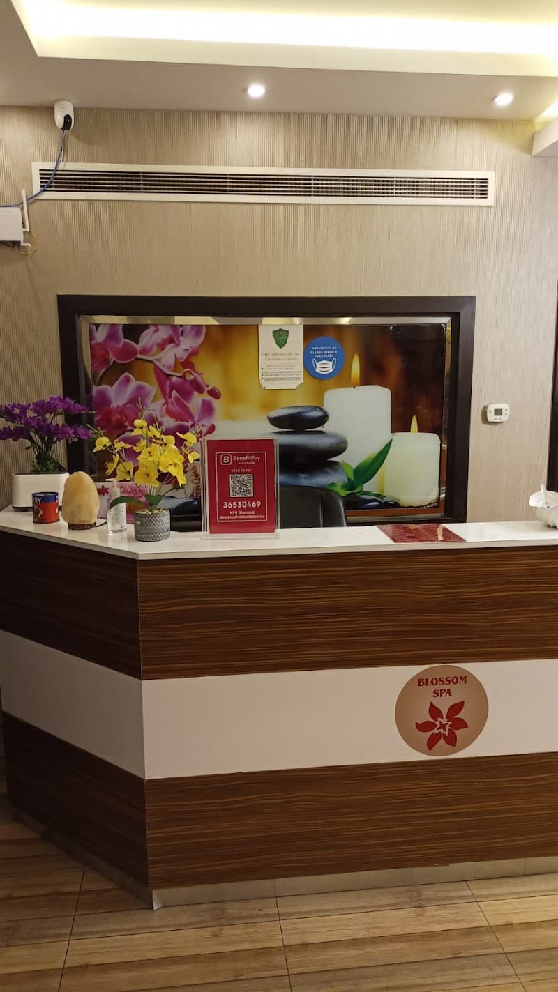 Massage & Wellness Centre Manama photo