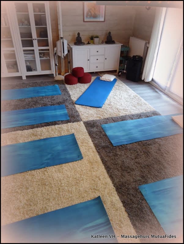 Massagehuis MutuaFides Erpe-Mere photo