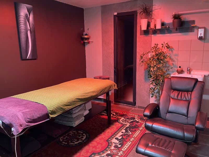 Massages L'Elephant Volant Loudervielle photo