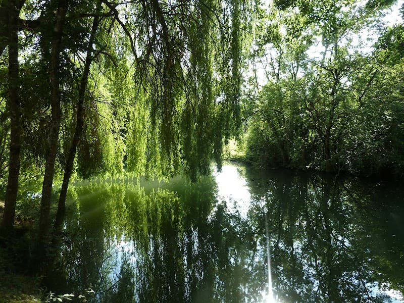 Massages les Jardins de Lilly Montignac-Charente photo