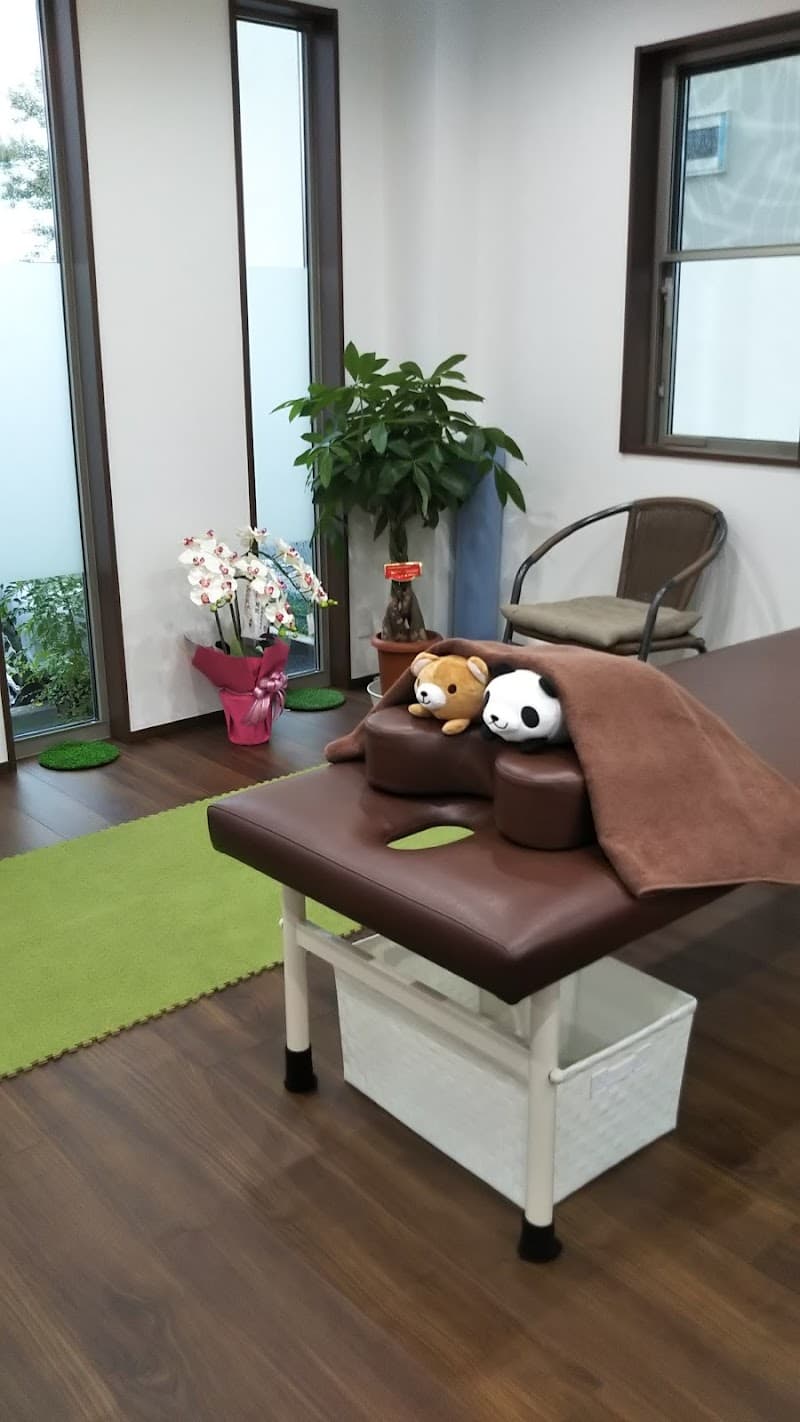 Matsuo Osteopathic Clinic Inzai City photo