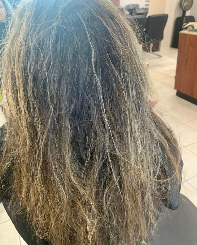 Maximus Spa & Salon Carle Place photo