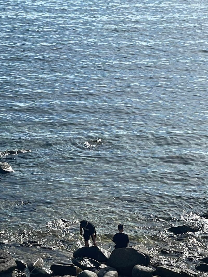 Mây- Shampoo Quy Nhơn photo