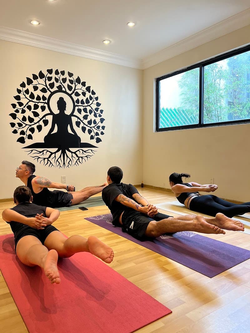 Mayshou Spa Equilibrio Bienestar y Salud Mexico City photo