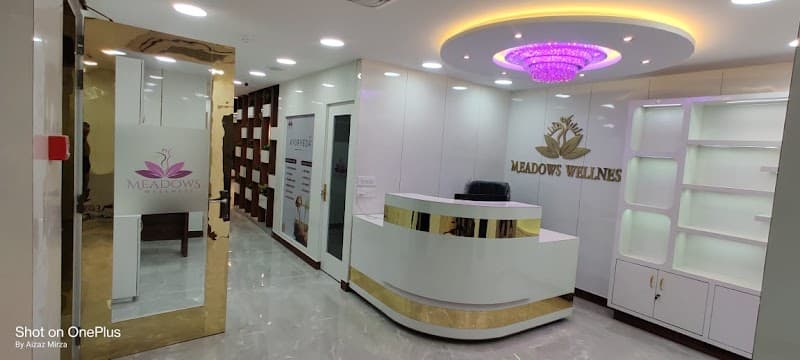Meadows Wellness Kolkata photo