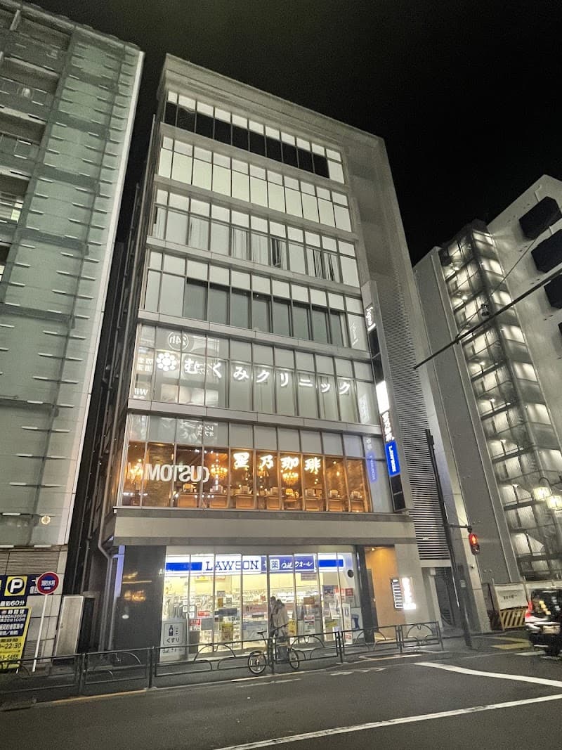 Medical Slim and Beauty Leia Shinjuku-ten Tokyo photo