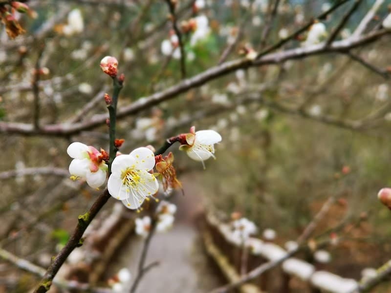 Meiyuanli Natural Beauty World Tainan City photo