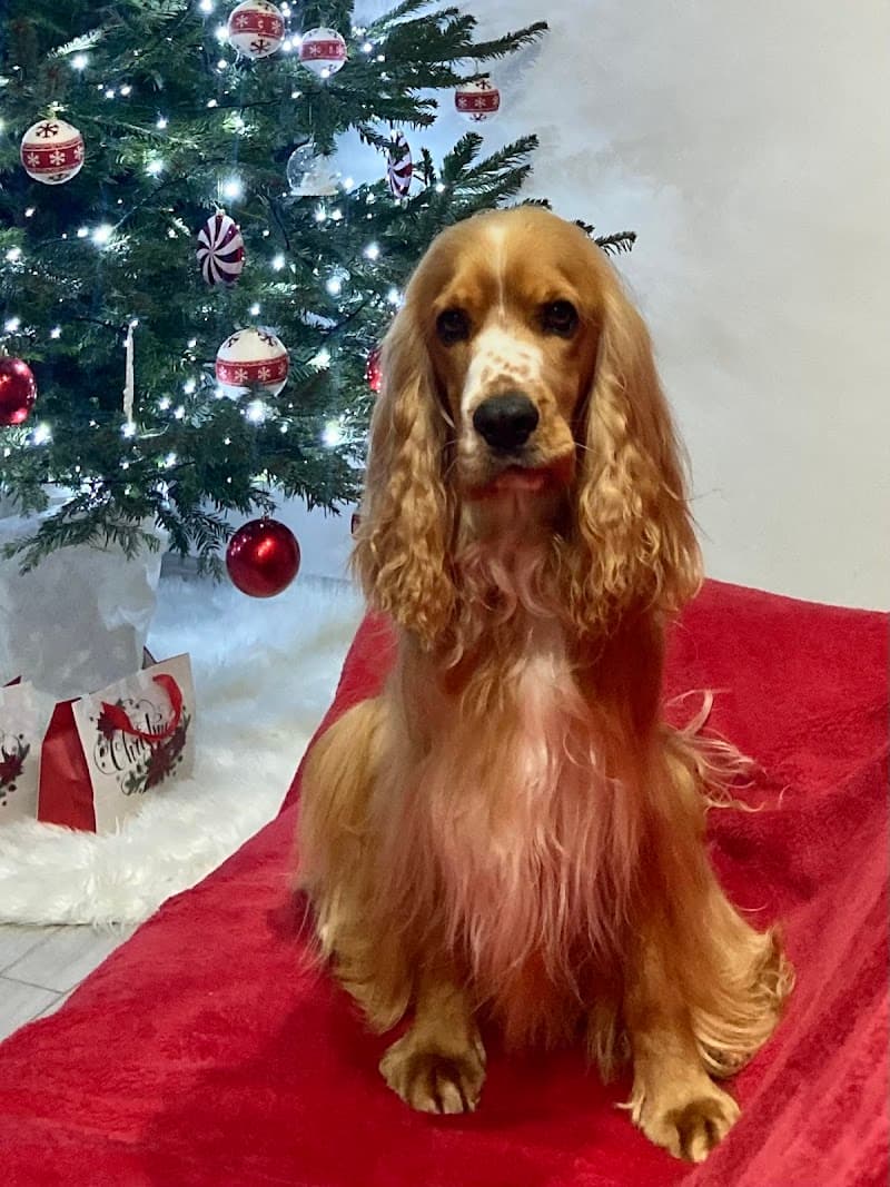 Melanie Grooming & SpA di Mirasola Melania Palermo photo