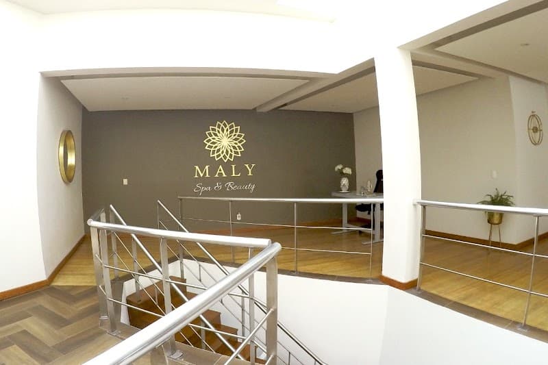 Melaua spa body & face San Mateo Atenco photo