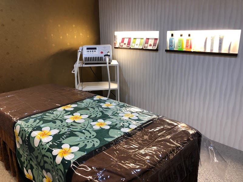 Mellow Wax Miyazaki Store photo
