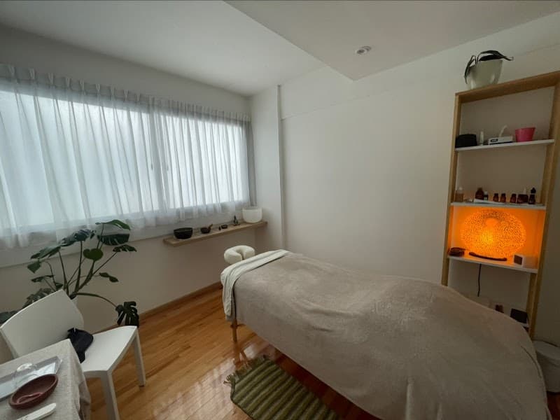 Memeliah Wellness Buenos Aires photo
