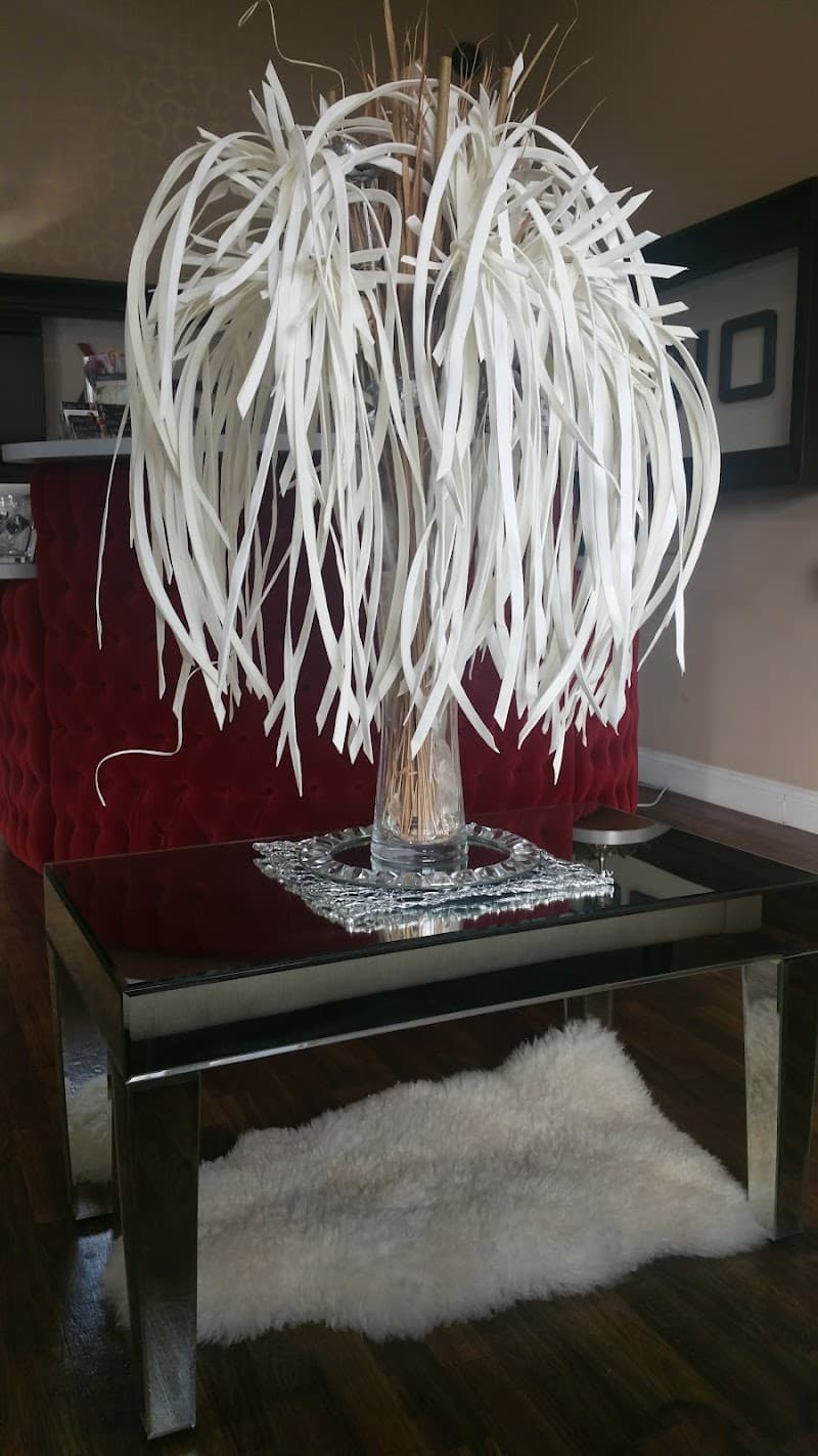 Meo Bachi Salon & Spa Jacksonville photo