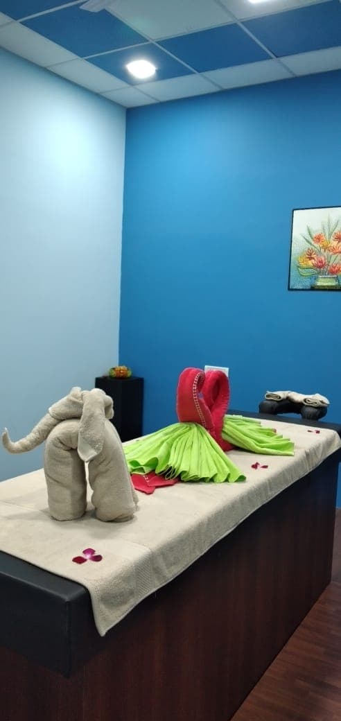 Meraqi Wellness Spa Salon Meerut photo