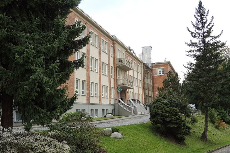 Meridiány-léčba orgánů Zlín photo