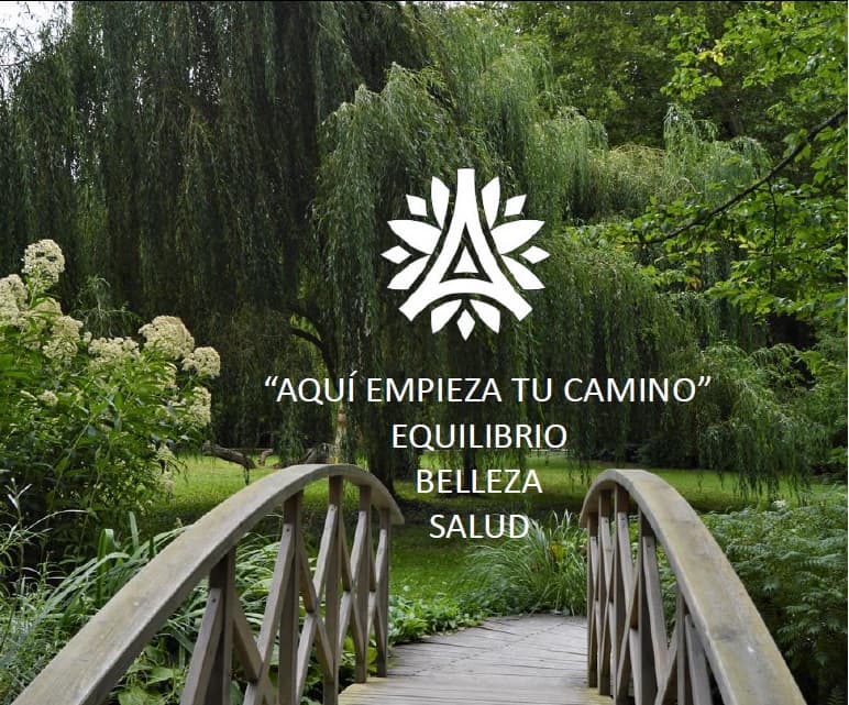 Mi calle de París Oviedo photo