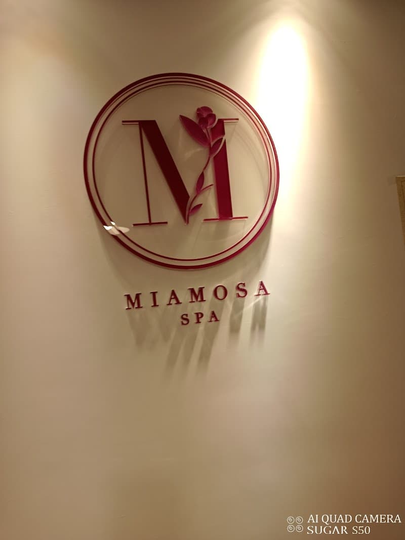 Mia Mosa Beauty Spa Taipei City photo