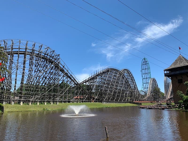 Michelle Reed, LMT Mind + Body Wellness McKinney photo