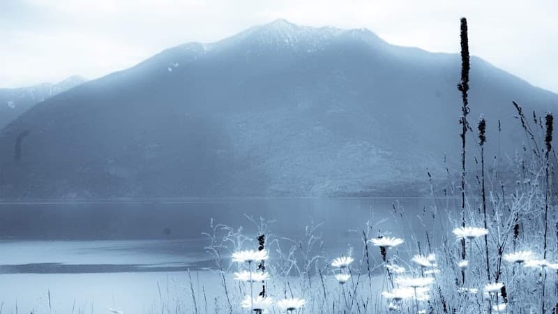 Michelle Rice Massage Therapy Rocky Mountain House photo