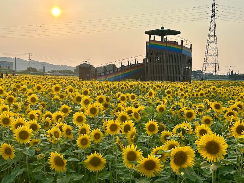 Michi no Eki Ootou Sakura Kaido Natural Onsen Sakura-kan Oto Town, Tagawa District photo