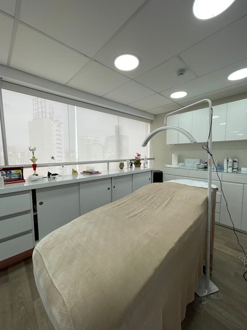 Micropigmentación de Cejas & Labios | Laser Removal | Lifting de Pestañas - VC Brows Studio - Vanesa Chistama | Miraflores photo