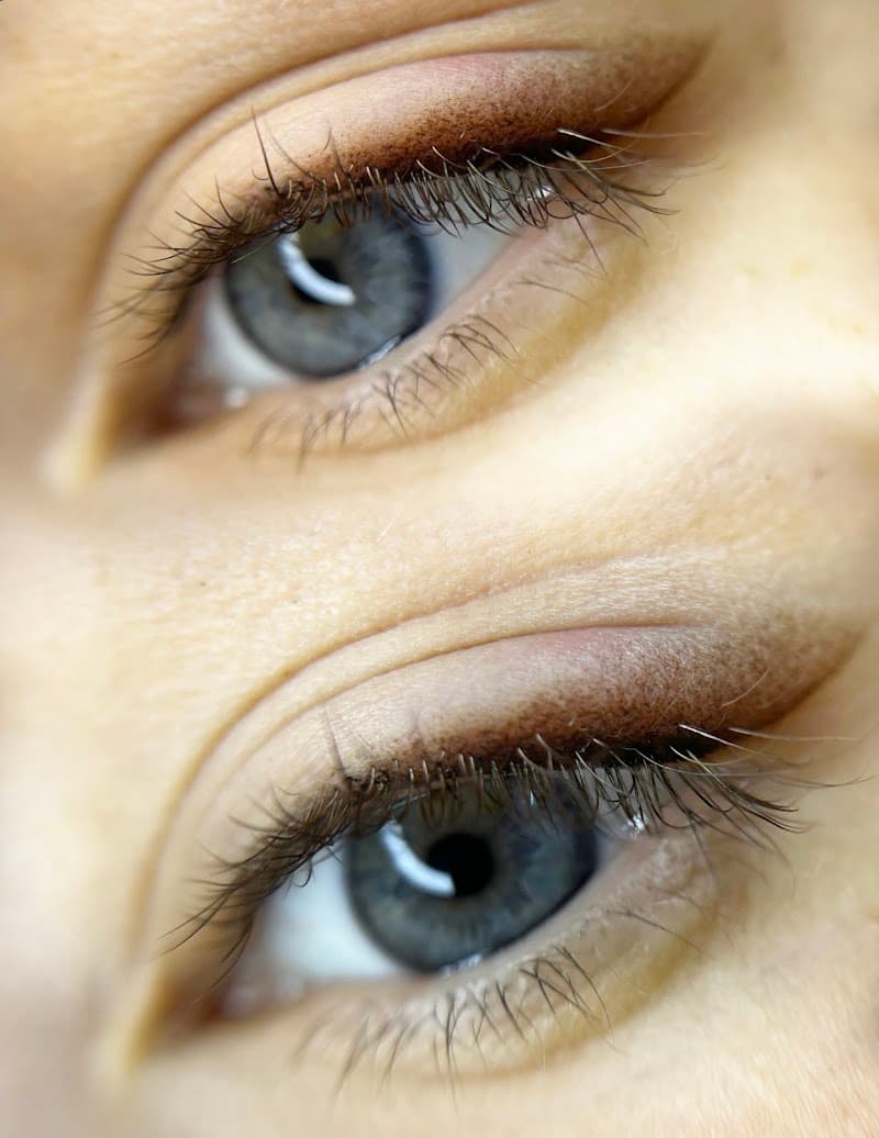 Micropigmentation Mojgan Richmond Hill photo