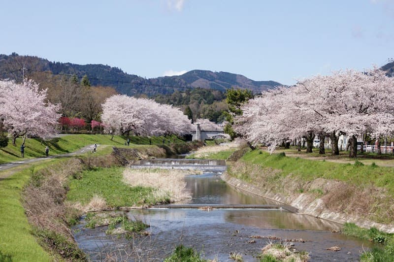 Midori Shiatsu Studio Târgoviște photo