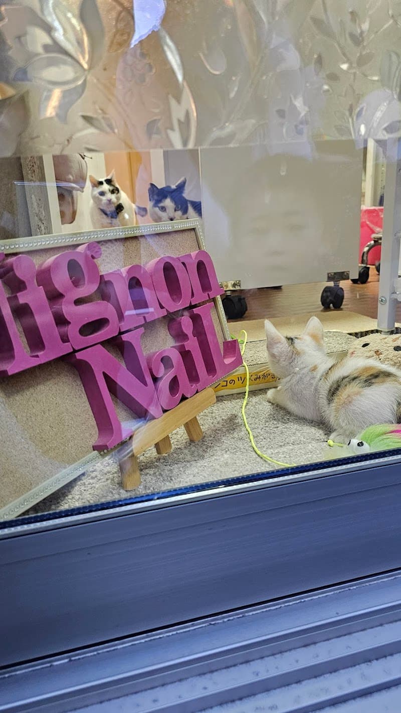 Mignon Nail Itabashi City photo