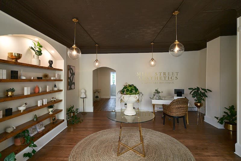 Mill Street Aesthetics and Skincare Boutique Belvidere photo