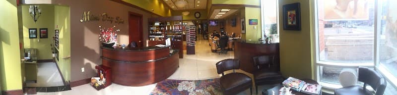 Mimi Day Spa Arlington photo