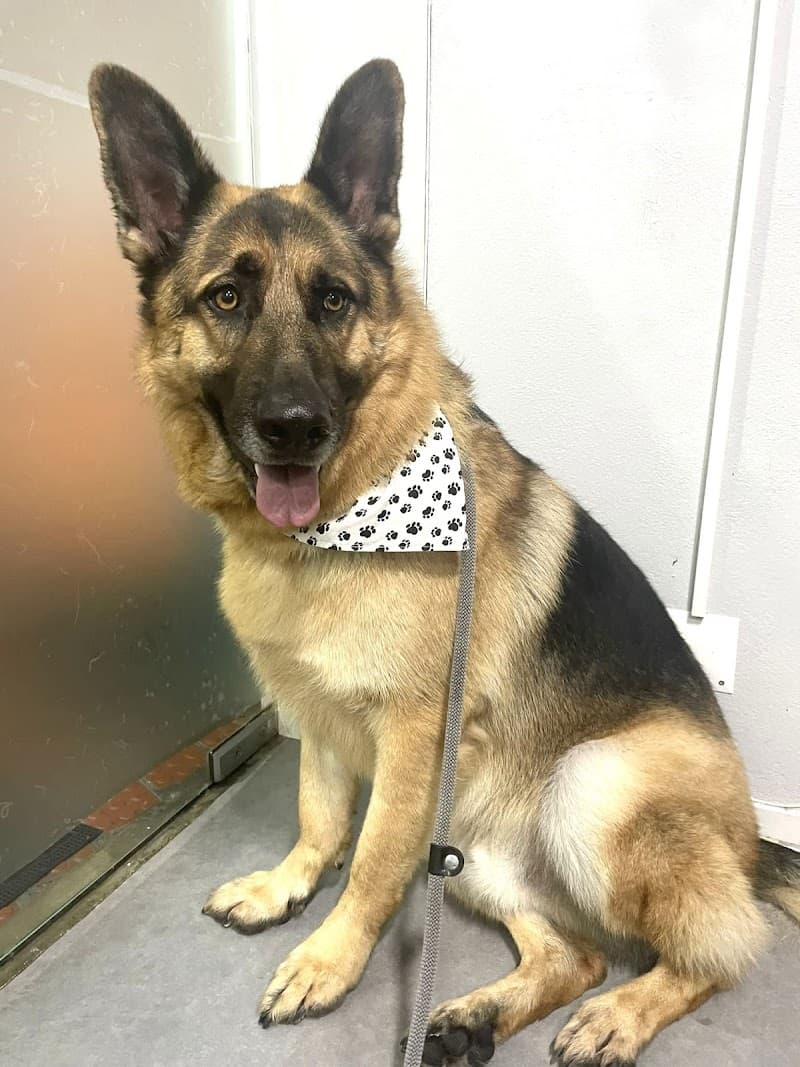 Mimos & Elogios Matosinhos photo