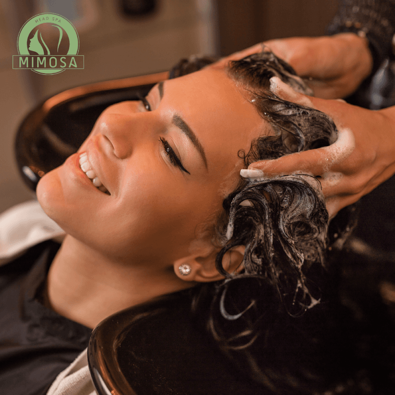 Mimosa Head Spa Garden Grove photo