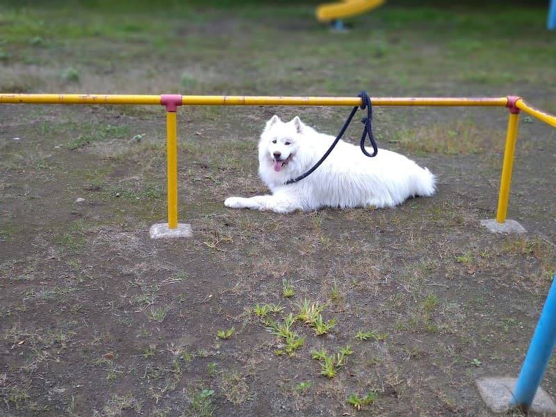 Minami Kayabe Recreation Center Hakodate City photo