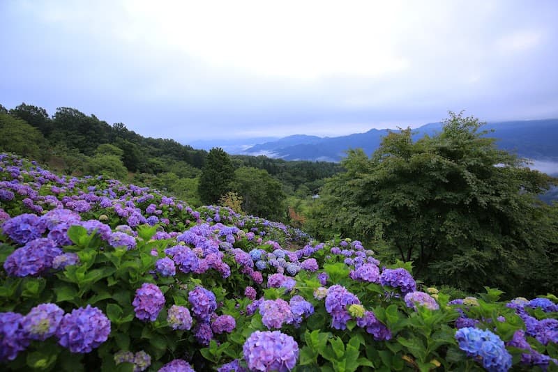 Minano Town Water and Green Interaction Center Chichibu District Minano Town photo