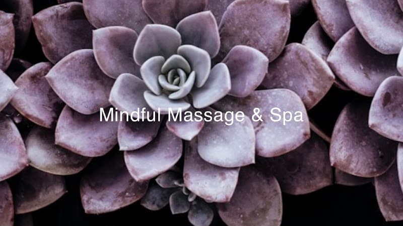 Mindful Massage and Spa Corinth photo
