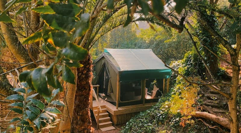 Mint Wellness Cape Town photo